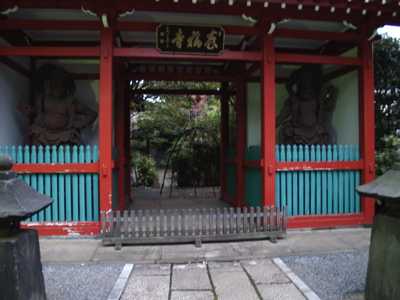 aoki