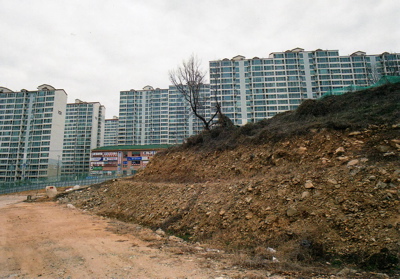 kohyang