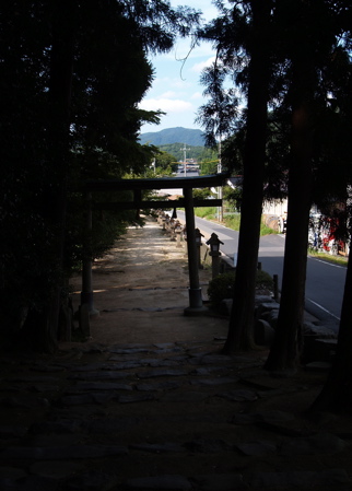kamosu