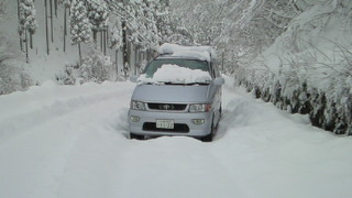 NEC_0289.jpg