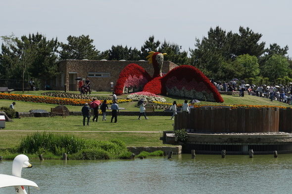 淡路島国営明石海峡公園 花火鳥