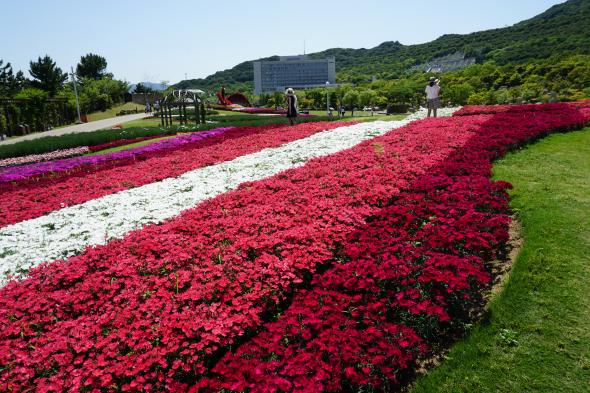 淡路島国営明石海峡公園 散歩