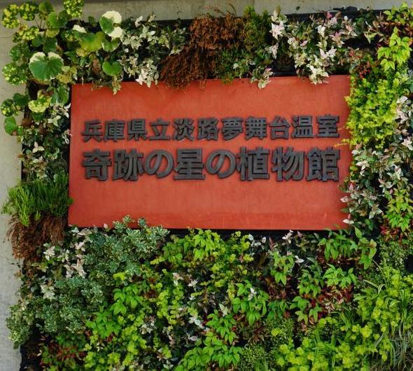 兵庫県立淡路夢舞台温室【奇跡の星の植物館】