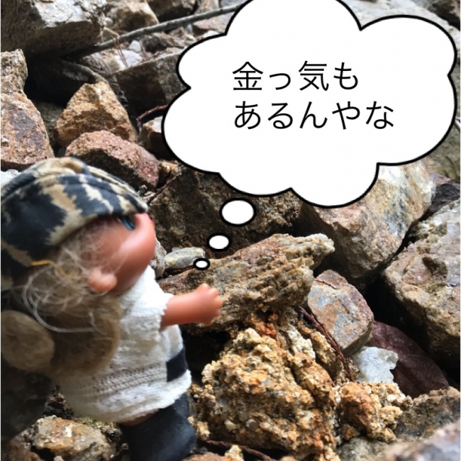 岐阜県中津川市～産地Eで煙水晶探し(鉱物採集第245回) | マホガニーな