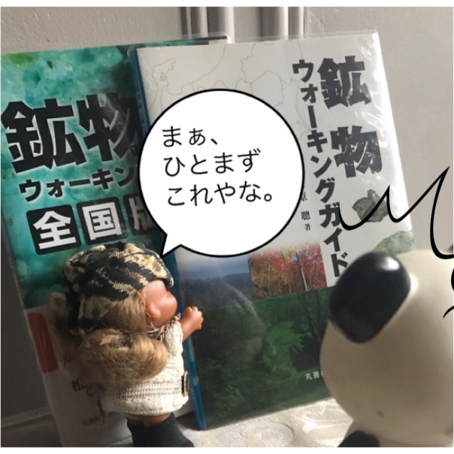 鉱物 ウォーキングガイド 関東甲信越版 鉱物ウォーキングガイド 関東