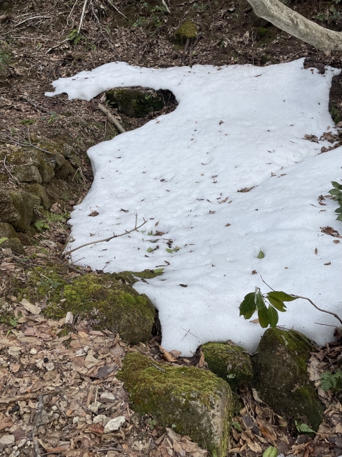 遺構　抗口　鉱山探し　山中