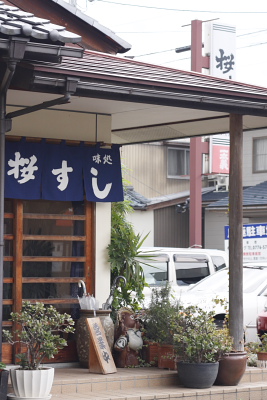 福井市 桜すし