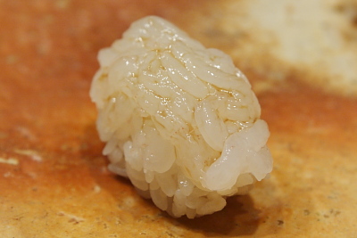鮨かねさか_白海老