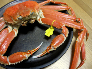 越前がにのおいしい食べ方