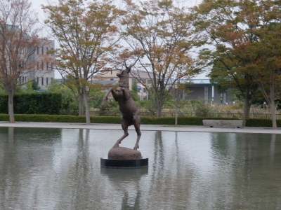 DSCF9097.JPG