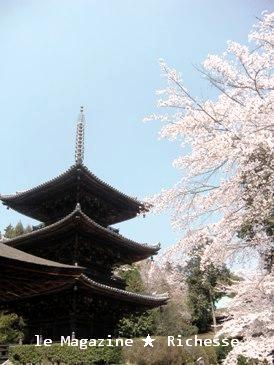 三井寺三十塔2009春01