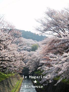 琵琶湖疏水2009-003