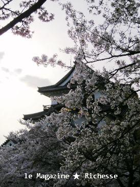 彦根城桜2009春002