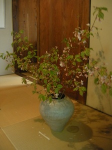 月日荘2009- 003