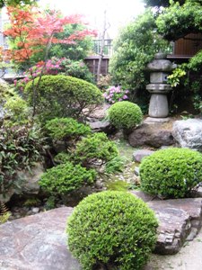月見荘庭2009-02