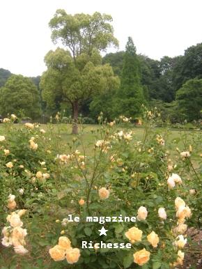 花フェスタle28mai2009 001