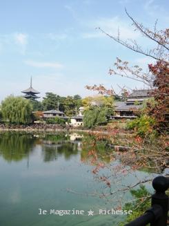 荒池より興福寺五重塔を望む