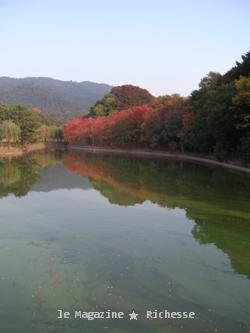 奈良公園荒池2009_01