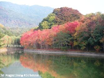 奈良公園荒池2009_02