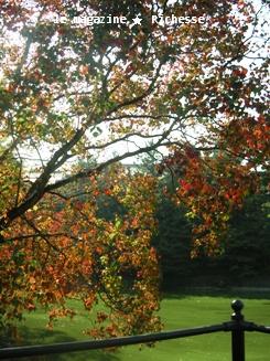 奈良公園荒池2009_03