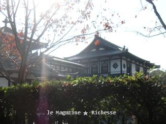 奈良2009秋