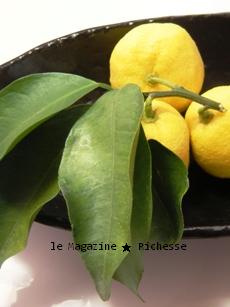 le16dec09kitchen_Citrus junos 02