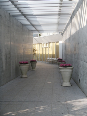 clematis Garden Area