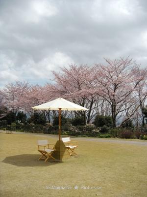 クレマチス・ガーデン/ヴァンジ彫刻庭園美術館(クレマチスの丘)