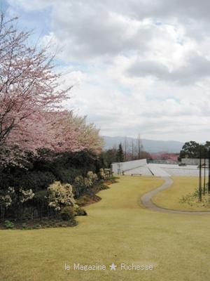 クレマチス・ガーデン/ヴァンジ彫刻庭園美術館(クレマチスの丘)