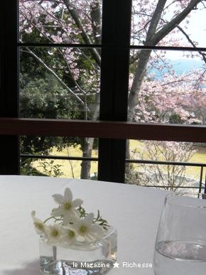 伊豆リストランテ・プリマヴェーラ 桜&クレマチス