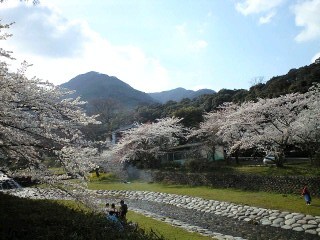 2010養老公園 01