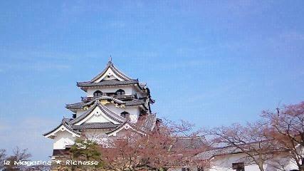 2010彦根城(滋賀県彦根市)