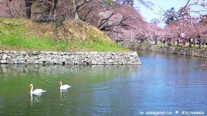 2010彦根城内堀_02