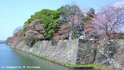2010彦根城中堀