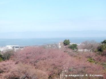 彦根城天守から望む琵琶湖