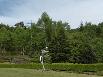 front yard