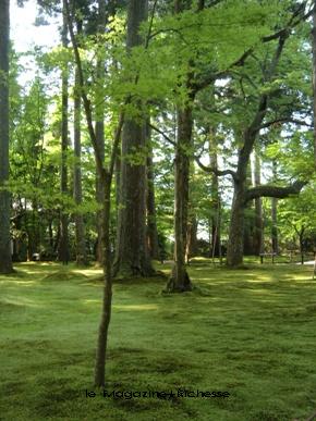 大原三千院 苔庭