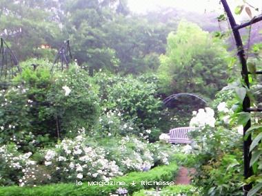 le19juin2010_ホワイトガーデン(伊豆クレマチスの丘)