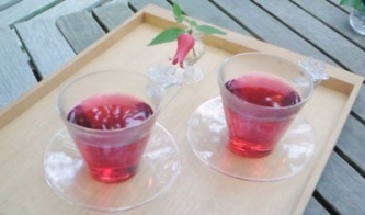 ガーデナーズハウス・ カフェ