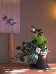 茶寮宝泉_花
