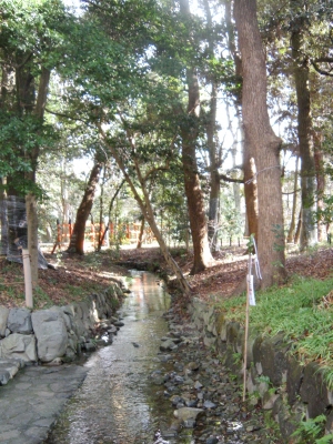 le10janvier2011_世界文化遺産_糺の森02