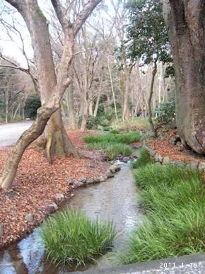 le10janvier2011_世界文化遺産_糺の森03