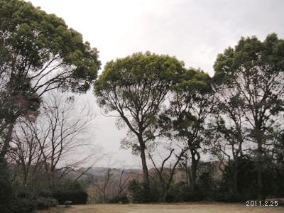 le25fevrier2011_higashiyama