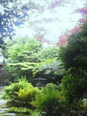 京都下鴨 「茶寮 宝泉」の庭