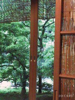 京都下鴨 「茶寮 宝泉」座敷席より望む