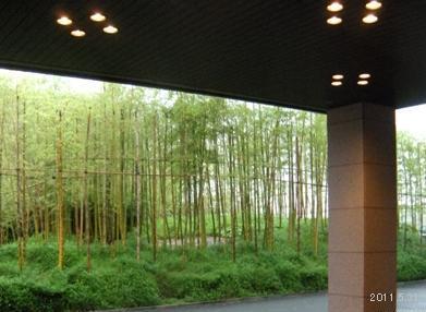 Hyatt Regency Kyoto/ハイアットリージェンシー京都