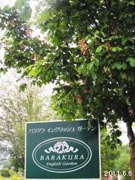 2011_蓼科高原バラクライングリッシュガーデン06