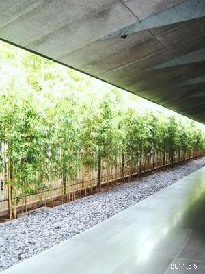 le5juin2011_根津美術館アプローチ
