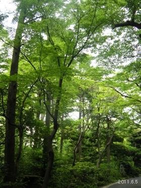 2011根津美術館庭園05