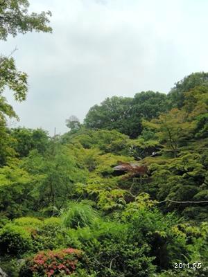 le5juin_南青山_根津美術館庭園
